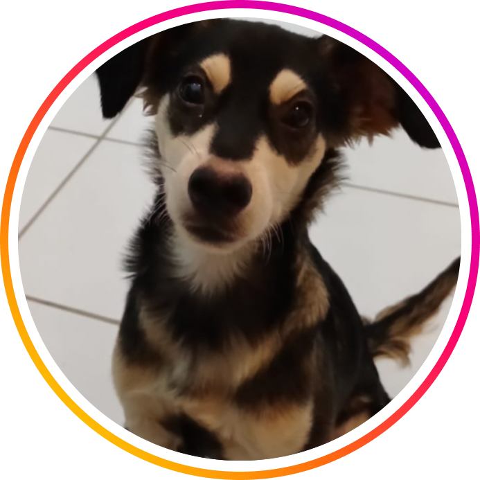 Design sem nome (38)